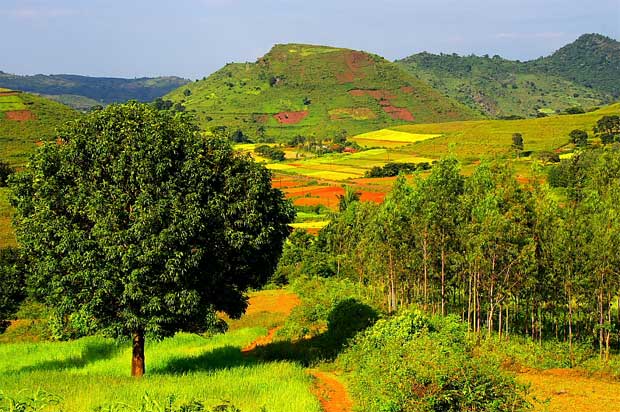 Araku Valley